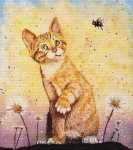 (image for) Kitten with Bee